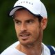 Murray vervangt Djokovic in spelersraad ATP
