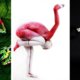 20x prachtige bodypaint