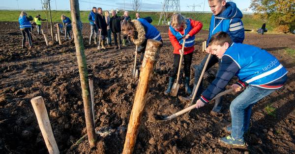 Herplant langs de Mellard