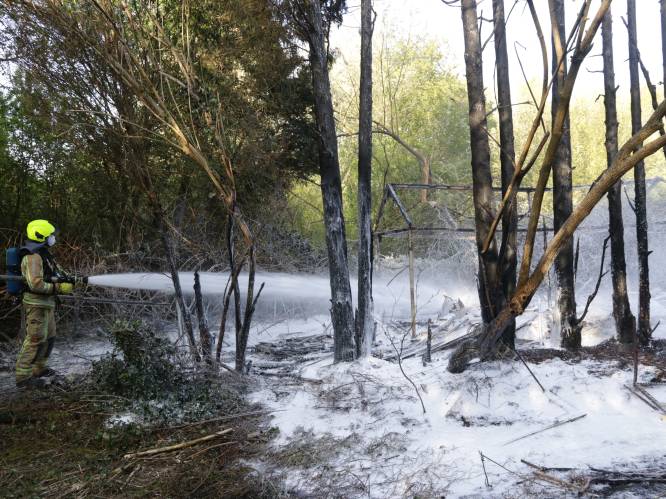 Brandstichting in Doel: stalling en bomen gaan in vlammen op
