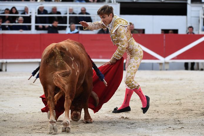 Torero (20) spaart leven van stier die hem herhaaldelijk spietste, Buitenland