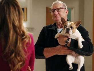 Hondje Stella uit ‘Modern Family’ is overleden