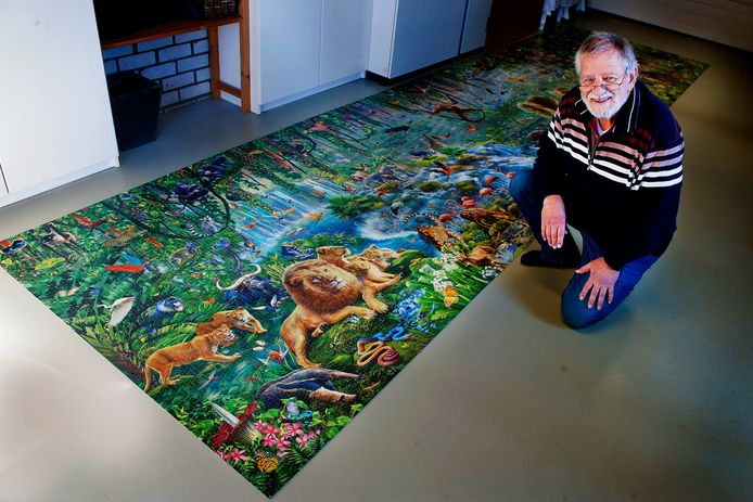 Pijler Berekening Muildier Na twee jaar is Jan (70) eindelijk klaar met puzzel van 33.600 stukjes!  Alhoewel... 'Er mist één stukje' | Amersfoort | AD.nl