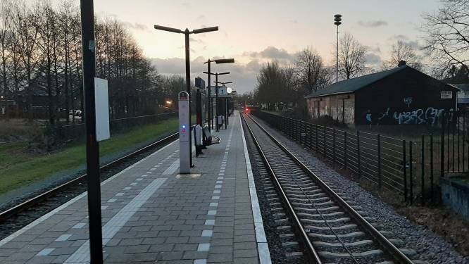 Ook vrijdag stakingen in streekvervoer: minder treinen en bussen in Achterhoek, Rivierenland en Arnhem