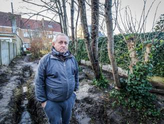 ‘Bomenvriend’ weigert ouderlijk huis te verkopen, na dwangsommen van meer dan 300.000 euro: “Niet in staat om op straat te leven”