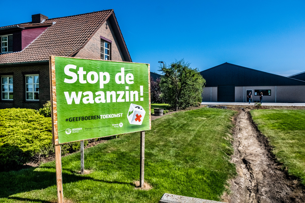 Farmers in the Fen area around Turnhout are furious.  Tim Dervin's photo