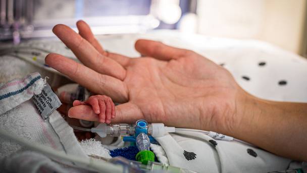 Handen aan de couveuse