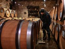 Grêles dévastatrices en France: les viticulteurs de Chablis craignent d’importants dégâts sur les récoltes