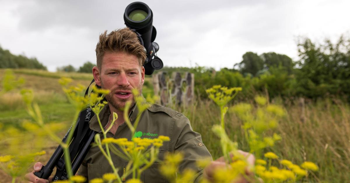Jochem Sloothaak: ‘Boeren zijn onmisbaar als je meer biodiversiteit wil ...