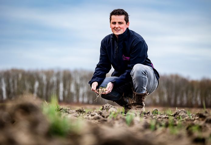 Joris van den Heuvel koos voor een niet zo gangbare teelt: knoflook.