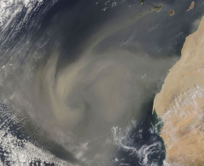 Satellite image of a dust storm in the Sahara moving across the Atlantic Ocean