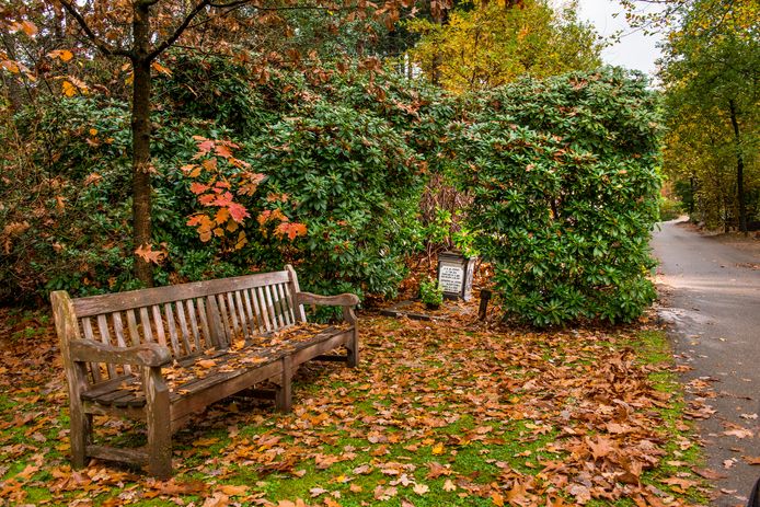 Begraafplaats Rusthof. De getoonde plek op Rusthof houdt geen direct verband met de spirituele grafbezoeken die in september plaats hadden op Rusthof.