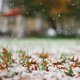 Brrr: de eerste sneeuw is gevallen