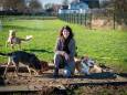 Jolanda is een gelukkig mens tussen de honden: ‘Ik liep mezelf compleet voorbij’