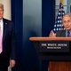 Waarom iedereen in Amerika van deze immunoloog houdt, behalve Trump