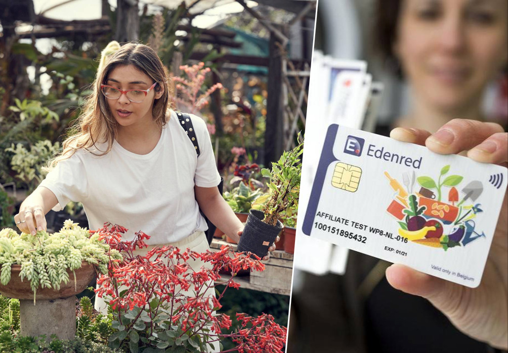 Van verf tot een smartwatch ook dit kan je kopen met ecocheques Foto hln.be