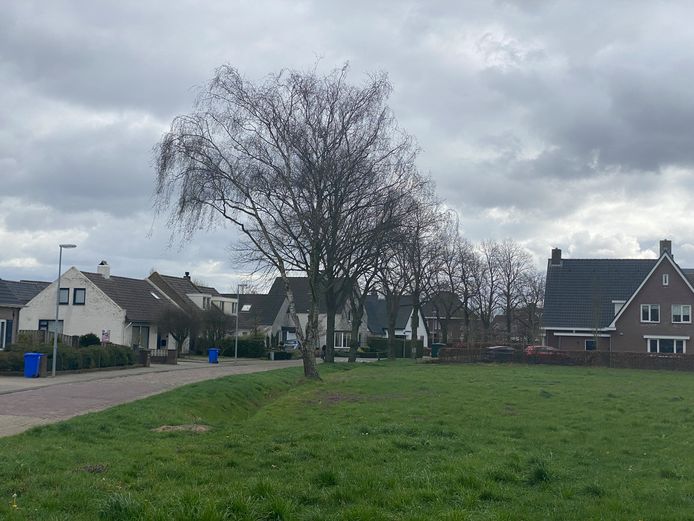 Djept in Veldhoven.