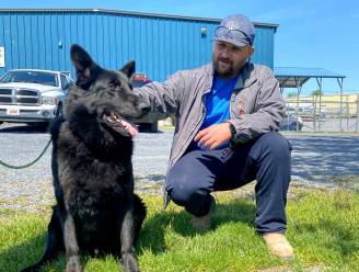 Bouwvakker redt stikkende hond die met baasje vastzit in file