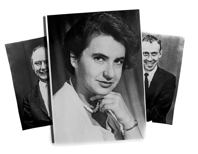 Rosalind Franklin deed dna-pionierswerk. James Watson (links) en Francis Crick stalen haar onderzoeksresultaten. Beeld Getty