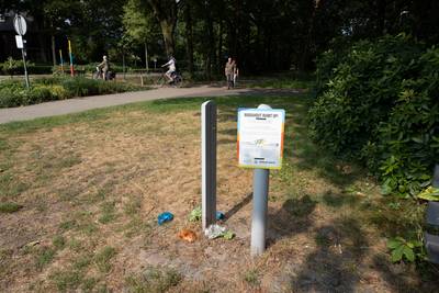Minder prullenbakken in Mariahout om dumpen huisvuil tegen te gaan, maar werkt dat eigenlijk wel?