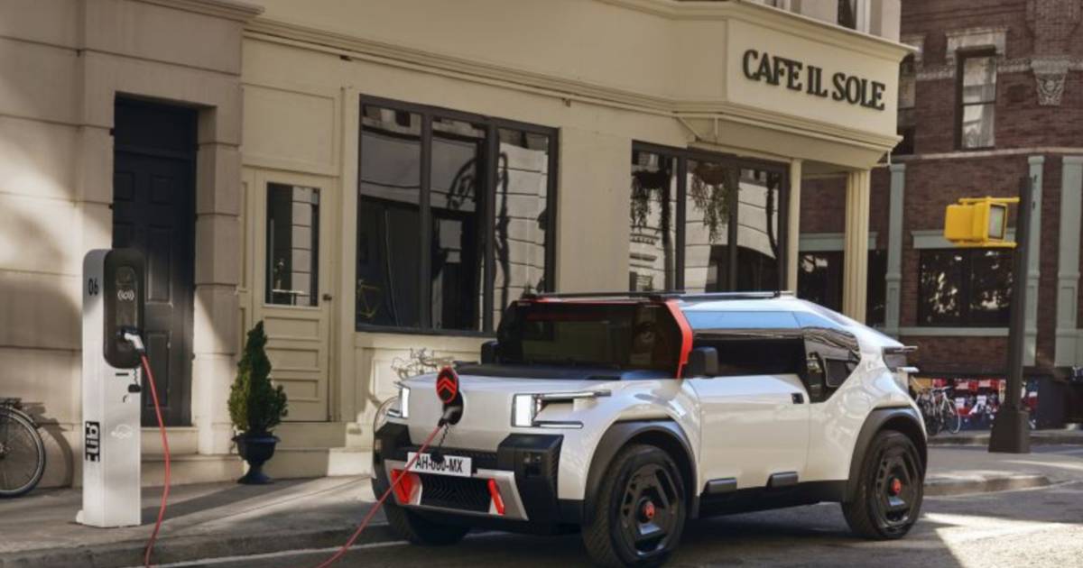 buurman Zwakheid Opgewonden zijn Citroën stelt conceptauto met karton voor | Binnenland | hln.be