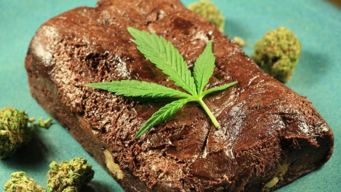 Canadese soldate gaf collega’s spacecake tijdens schietoefening: ‘schokkend en onaanvaardbaar’