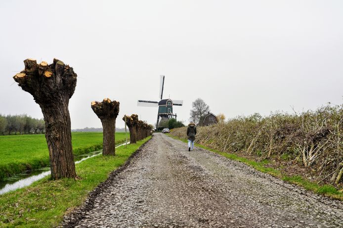 De Kockengense molen is van ver al te zien.