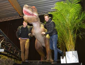 Van dinosauriërs in Ninove tot Q-party in Oktoberhallen: hier kan je het nieuwe jaar feestend inzetten