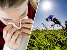 Extreem veel pollen in de lucht: hoe hard slaat hooikoorts nu toe?