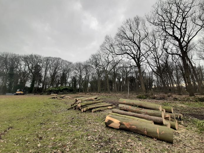 Steenenburg Drunen Land van Ooit Nieuwkuijk Napoleonvijver bosonderhoud