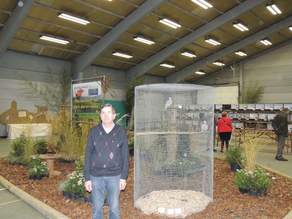 Toch Vogelexpo Ondanks Ophokplicht Poperinge In De Buurt Hln