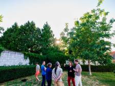 Eén boom is geen boom, dus van gemeente mag bijl in groen Goirkestraat: ‘Deze bomen vervang je niet zomaar’