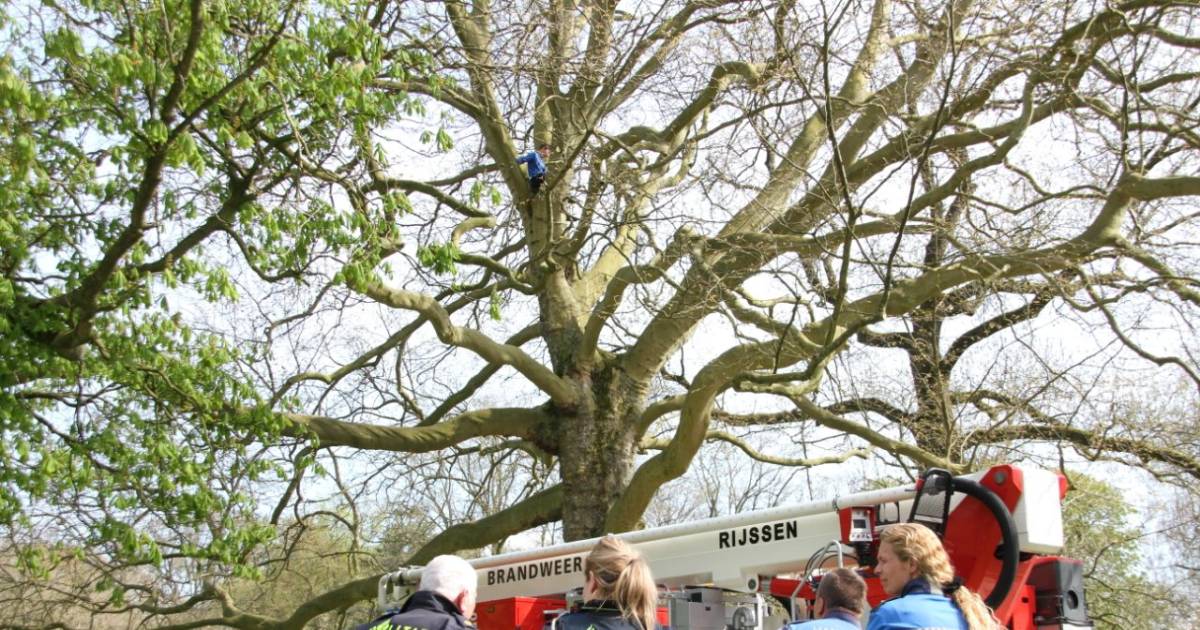 Kind (11) vast in hoge boom in Rijssen; brandweer in actie.
