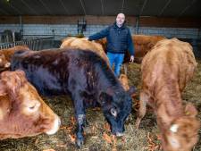 Leon wil eerste kweekvleesboer van Nederland worden: ‘Fantastisch als we dieren niet meer hoeven te slachten’