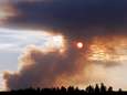 Tientallen bosbranden in Zweden raken maar niet geblust