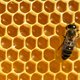Europese Unie verbiedt pesticiden die bijen doden, België vraagt uitzondering