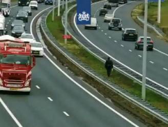 Man steekt A2 over en maakt ochtendwandeling op de middenberm bij Eindhoven