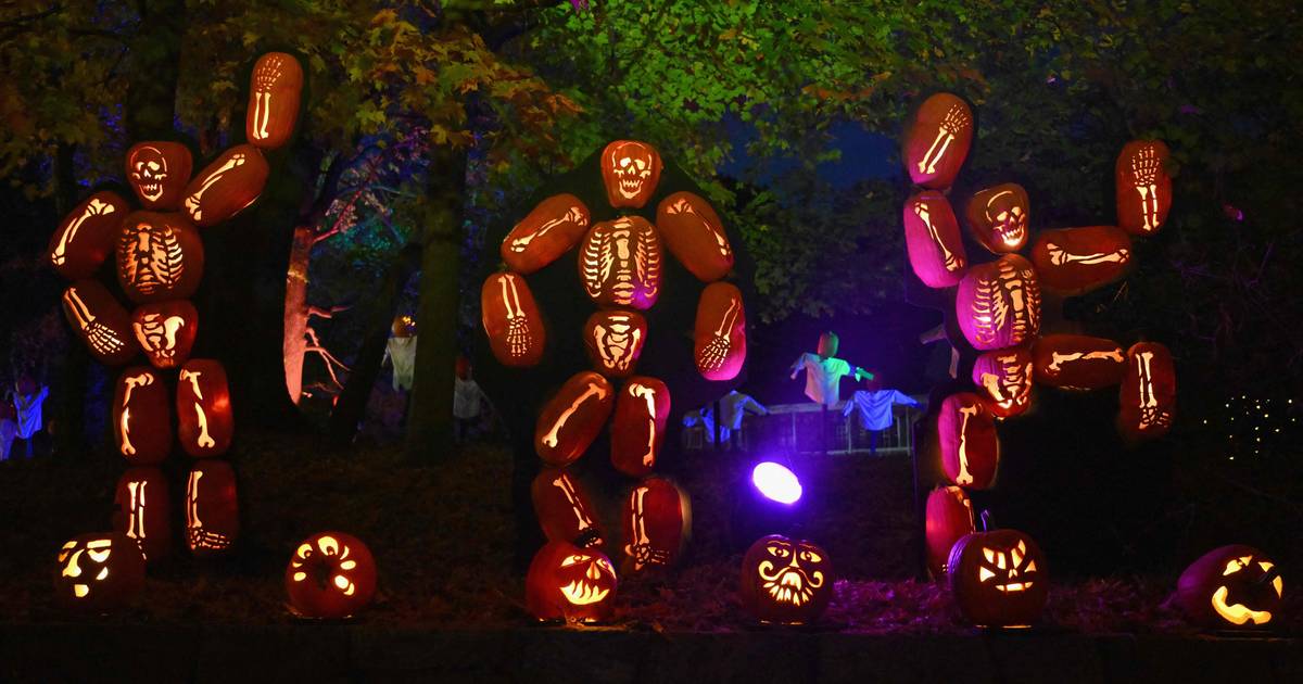 Horror on ice Kristallijn viert Halloween met griezelige tunnel op de