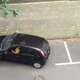 Parkeren is een kunst (filmpje)