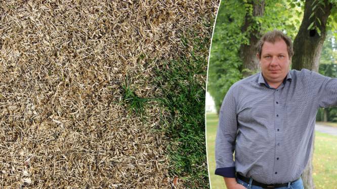 “Gazonsproeiers zijn niet efficiënt”: tuinexpert geeft vijf tips om een uitgedroogd gazon te voorkomen