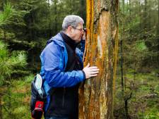 Gluren in boomspleten: Bart Horvers uit Tilburg is in de ban van schimmels als speldenknoppen 
