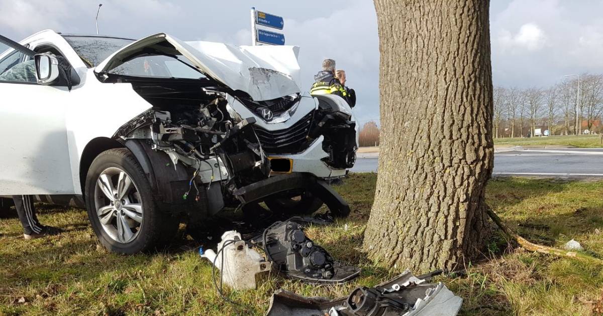Automobilist ramt bord en boom in Harbrinkhoek
