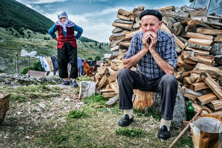 Hout stapelen voor de koude herfstavonden. Beeld Tim Dirven