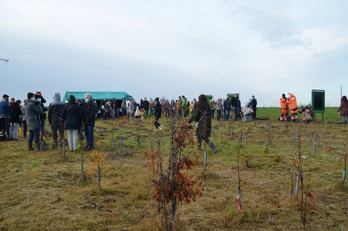 geboortebos aanplanting van 248 boompjes langs de Humbeeksesteenweg - Grimbergen