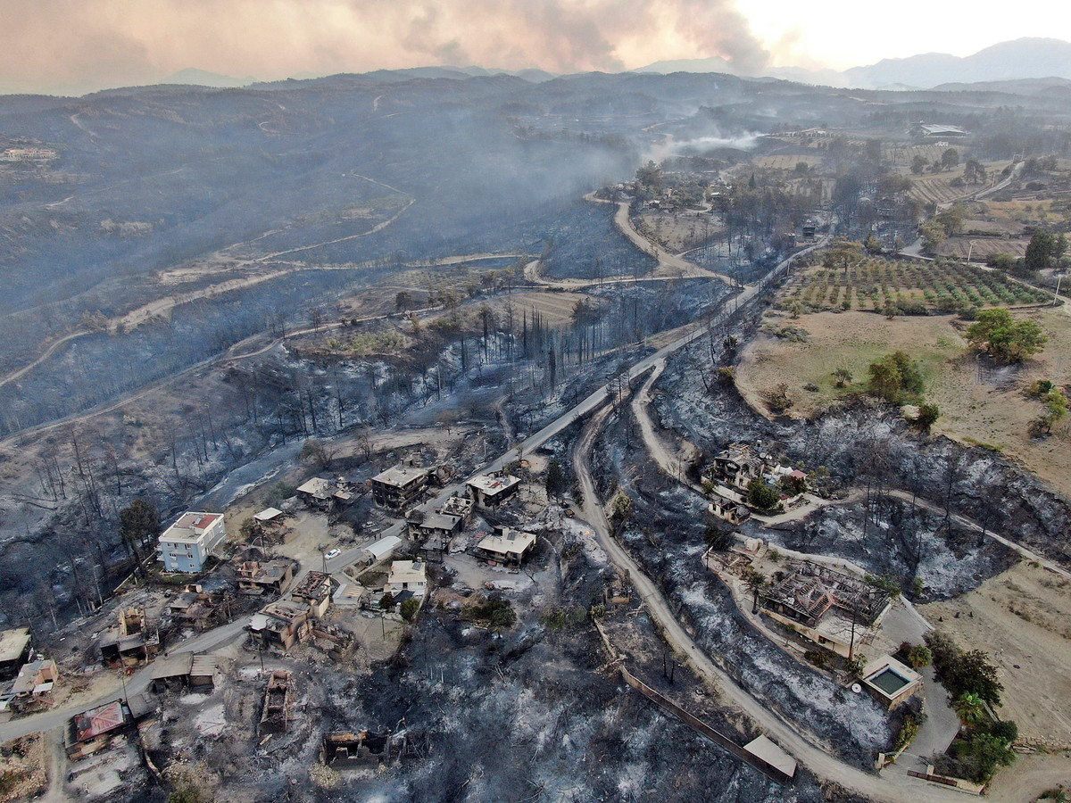 Al vier doden door bosbranden in regio Antalya Foto hln.be