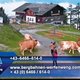 Even populair als VPRO's 'Zomergasten': de 'Zomerbeelden' van de VRT
