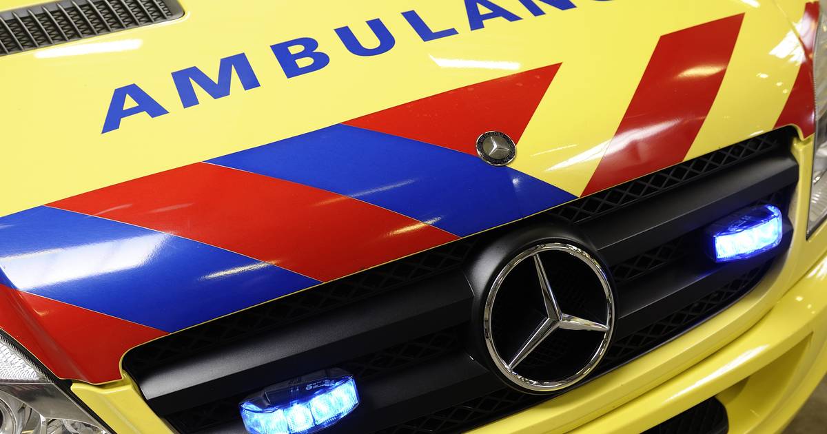 Dodelijk slachtoffer ongeval Sint Geertruid is 83-jarige man - De Gelderlander