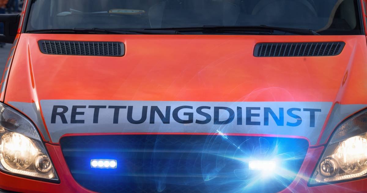 Peuter in kritieke toestand, moeder en kleuter zwaargewond door botsing tegen boom.