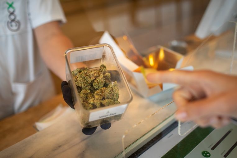 Een klant koopt wiet bij coffeeshop Boerejongens in Amsterdam Beeld Hollandse Hoogte 