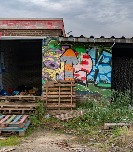 Vooral het aantal jongere daklozen in Tilburg is flink gestegen: ‘Dat is echt schrikbarend’